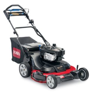 Toro 20200