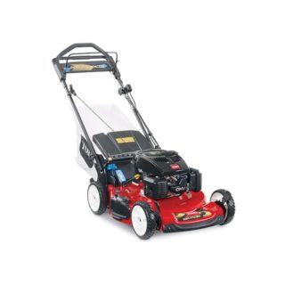 Toro 20273