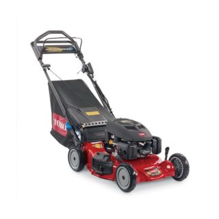 Toro 20384