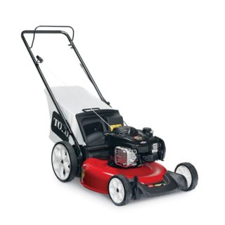 Toro 21319