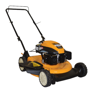 Cub cadet CC100